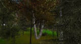 zber z hry Tree Simulator 2013: Treeloaded